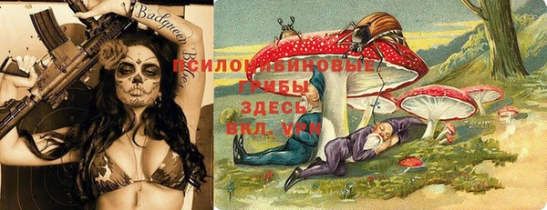 бутират Алзамай