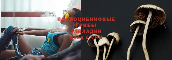 бутират Алзамай