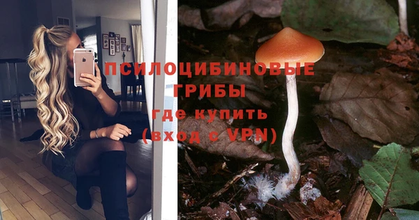 MDMA Алексеевка