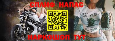 гидра Майкоп