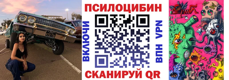 Галлюциногенные грибы Psilocybine cubensis  Ступино 