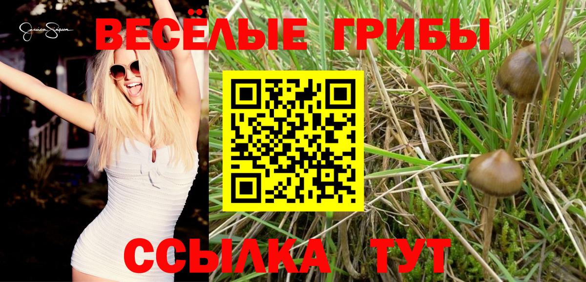 Галлюциногенные грибы прущие грибы Ступино