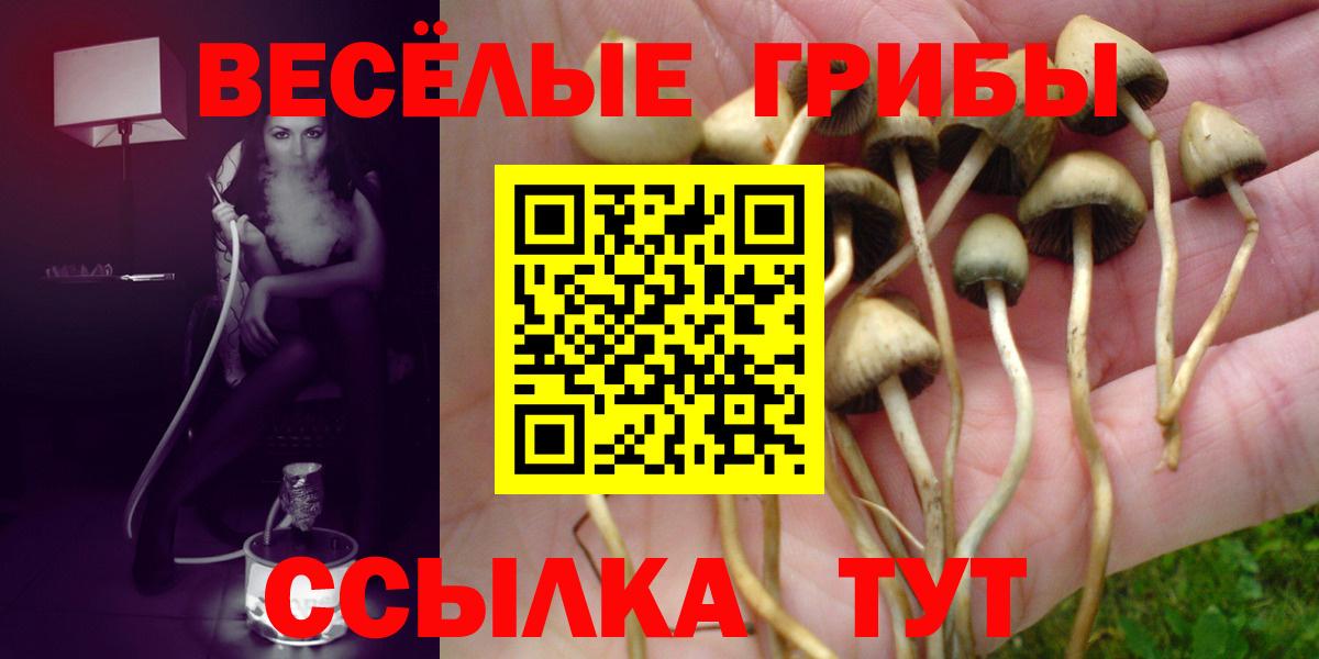 Псилоцибиновые грибы Psilocybe  Псилоцибиновые грибы GOLDEN TEACHER  Вход с VPN  Ступино 